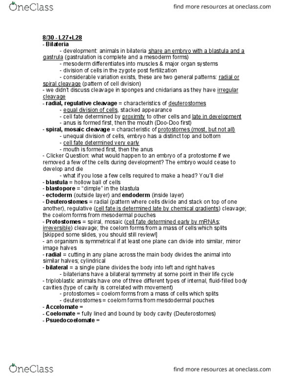 BIS 2C Lecture Notes - Lecture 27: Symmetry In Biology, Bilateria, Protostome thumbnail