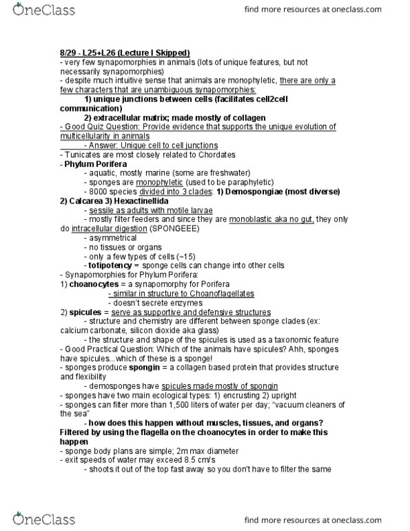 BIS 2C Lecture Notes - Lecture 25: Hexactinellid, Choanocyte, Spongin thumbnail