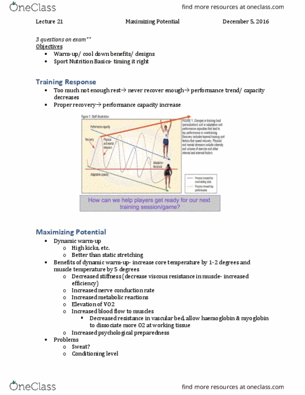 Kinesiology 3336A/B Lecture Notes - Lecture 21: Vo2 Max, Stretching, Hemoglobin thumbnail