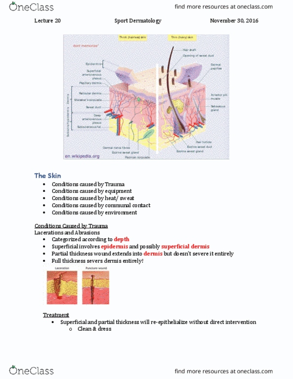 Kinesiology 3336A/B Lecture Notes - Lecture 20: Tibialis Anterior Muscle, Hyperkeratosis, Blunt Trauma thumbnail