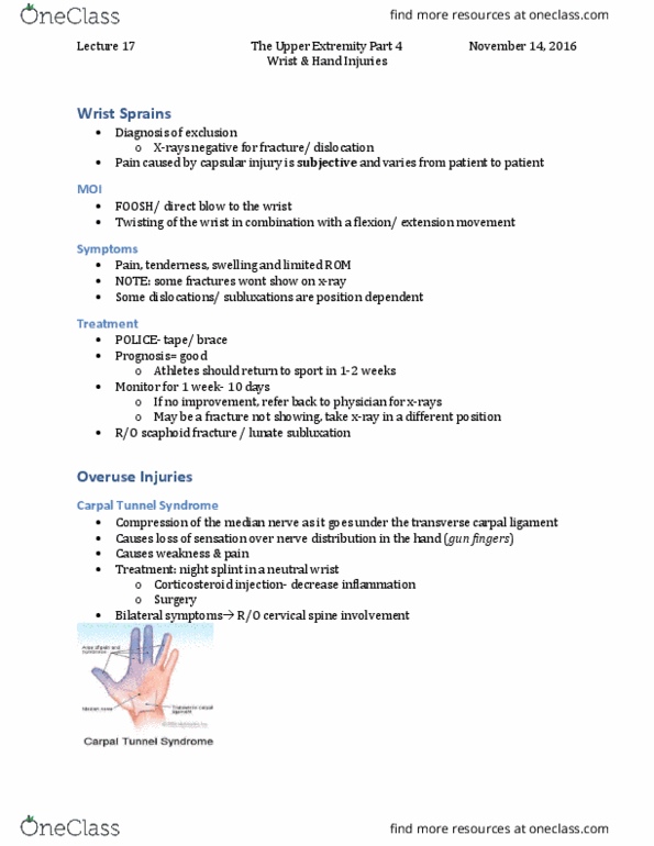 Kinesiology 3336A/B Lecture Notes - Lecture 17: Abductor Pollicis Longus Muscle, Scaphoid Fracture, Carpal Tunnel thumbnail