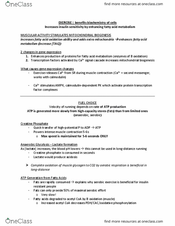 BCM 475 Chapter Notes - Chapter 22: Mitochondrial Biogenesis, Phosphocreatine, Acetyl-Coa thumbnail