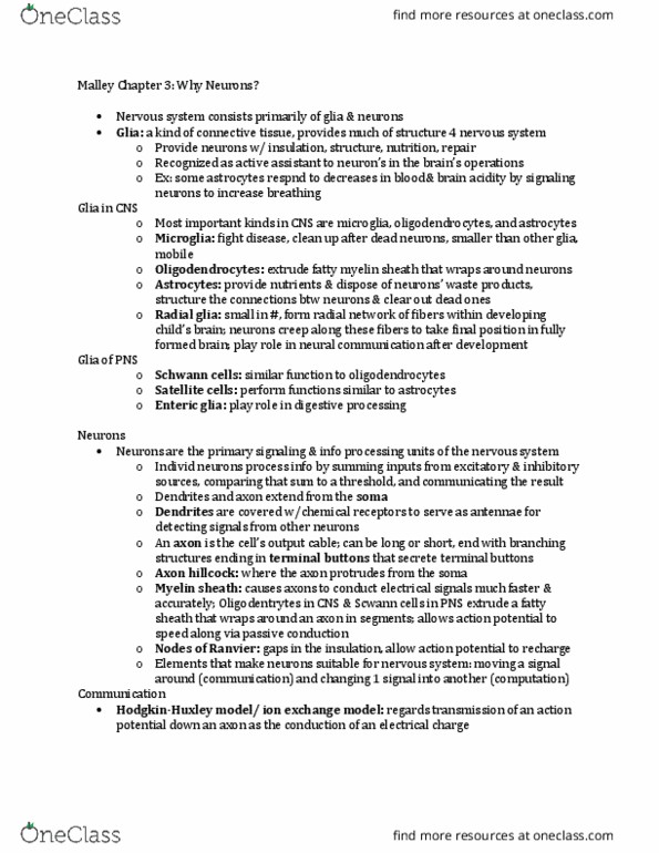 PSYCH 112 Lecture Notes - Lecture 3: Axon Hillock, Soliton, Myelin thumbnail