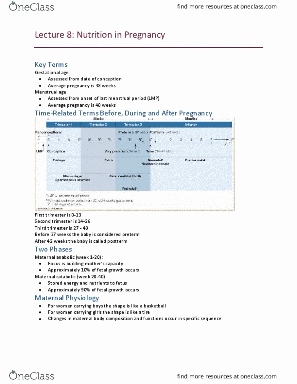 NUTR 2050 Lecture Notes - Lecture 8: Gestational Diabetes, Insulin Resistance, Gestational Age thumbnail