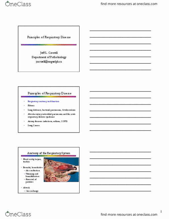 PATH 3610 Lecture Notes - Lecture 24: Acute Respiratory Distress Syndrome, Interstitial Lung Disease, Airway Obstruction thumbnail