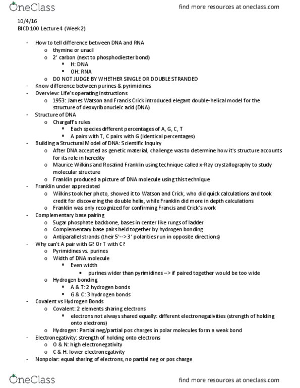 BICD 100 Lecture Notes - Lecture 4: Maurice Wilkins, Phosphodiester Bond, Hydrogen Bond thumbnail