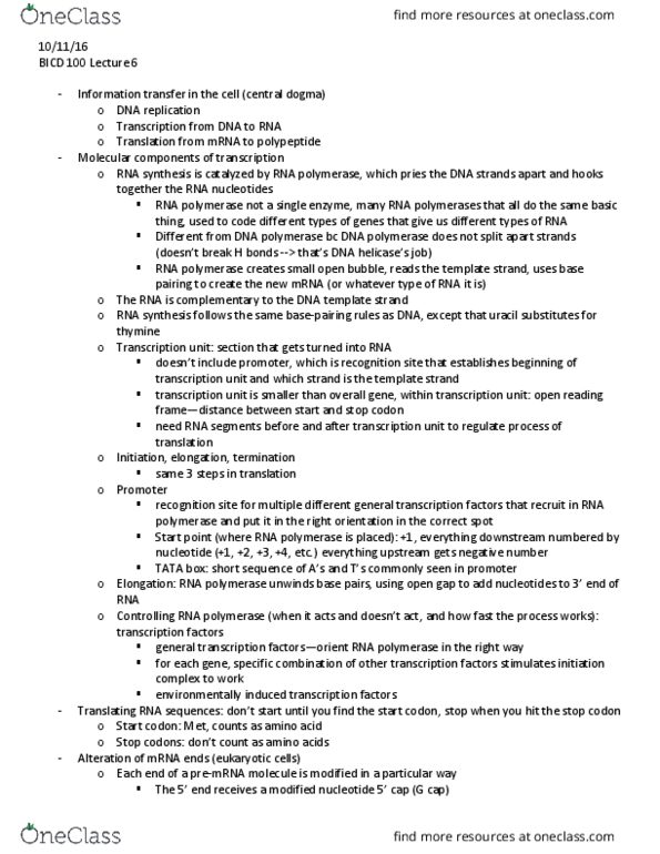 BICD 100 Lecture Notes - Lecture 6: Ribosomal Rna, Start Codon, Transfer Rna thumbnail