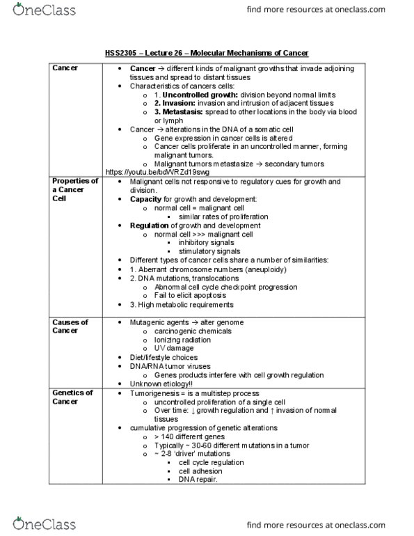 HSS 2305 Lecture Notes - Lecture 26: Tumor Suppressor Gene, Cancer Stem Cell, Cell Cycle Checkpoint thumbnail