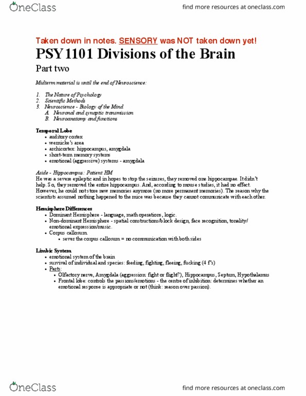 PSY 1101 Lecture Notes - Lecture 9: Stimulus Modality, Eardrum, Limen thumbnail