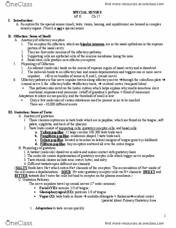 BISC276 Lecture Notes - Lecture 17: Rhodopsin, Temporal Bone, Stray Light thumbnail