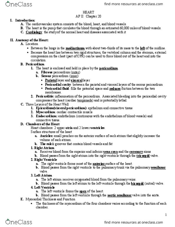 BISC276 Lecture Notes - Lecture 20: Rheumatic Fever, Yolk Sac, Desmosome thumbnail