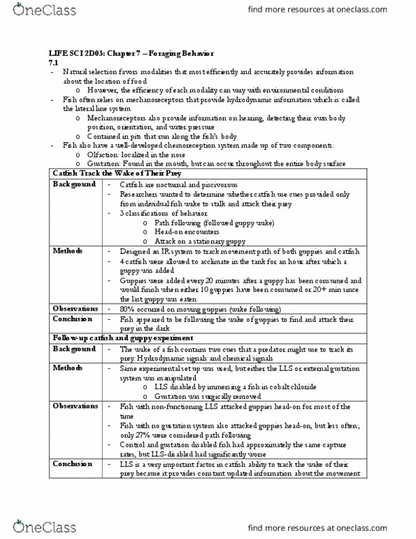 LIFESCI 2D03 Chapter Notes - Chapter 7: Stimulus Modality, Headon, Color Vision thumbnail