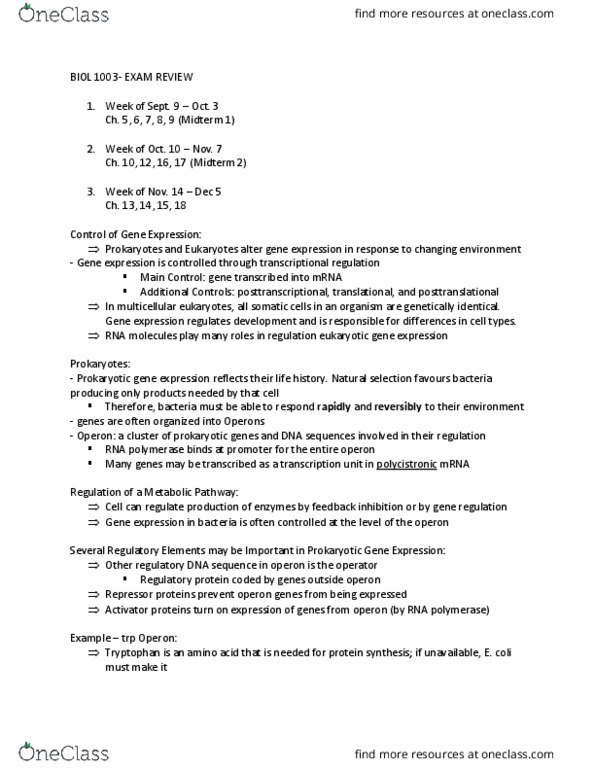 BIOL 1003 Lecture Notes - Lecture 7: Plasmogamy, Rna Interference, Chromatin thumbnail