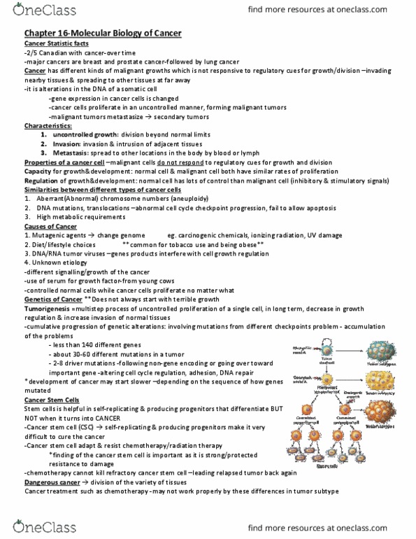 HSS 2305 Chapter Notes - Chapter 16: Growth Factor, Fibroblast, Retina thumbnail