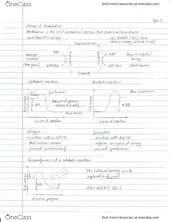 BIOL 112 Lecture Notes - Lecture 29: Rna, Urt, Large Hadron Collider thumbnail