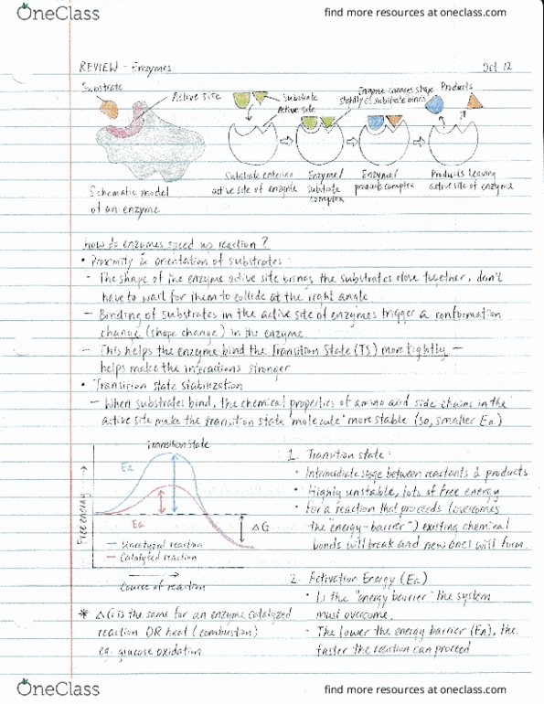 BIOL 112 Lecture Notes - Lecture 15: World Federation Of Trade Unions, Hela, Monor thumbnail
