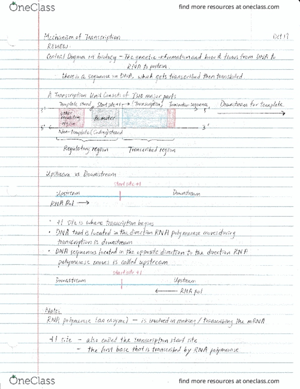 BIOL 112 Lecture 18: Mechanism of transcription thumbnail