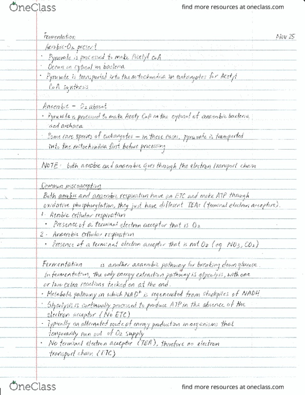 BIOL 112 Lecture Notes - Lecture 33: Archaea thumbnail