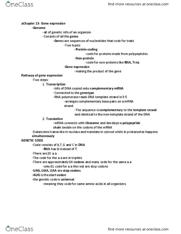 BIOL 1000 Lecture Notes - Lecture 13: Guanine, Adenine, Polysome thumbnail