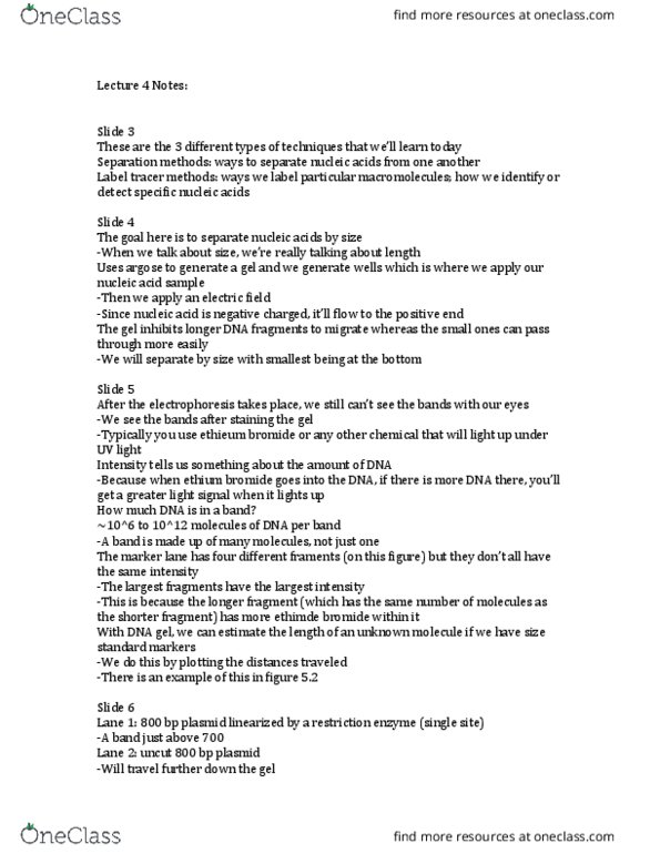 MCDB 427 Lecture Notes - Lecture 4: Autoradiograph, Affinity Chromatography, Electric Field thumbnail