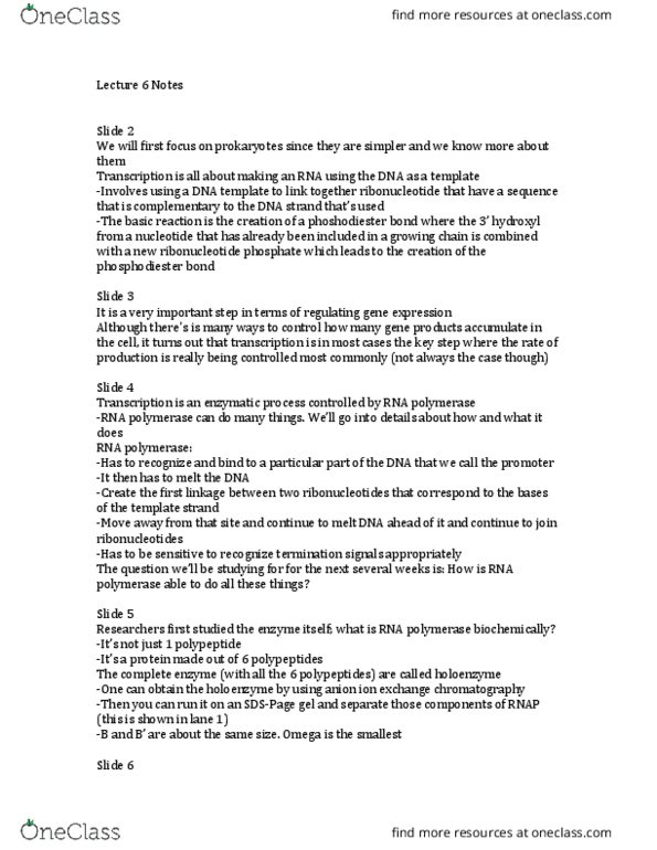 MCDB 427 Lecture Notes - Lecture 6: Methyl Group, Chain-Growth Polymerization, Phosphodiester Bond thumbnail