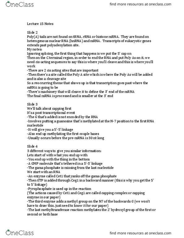 MCDB 427 Lecture Notes - Lecture 15: Sr Protein, Autoradiograph, Precursor Mrna thumbnail