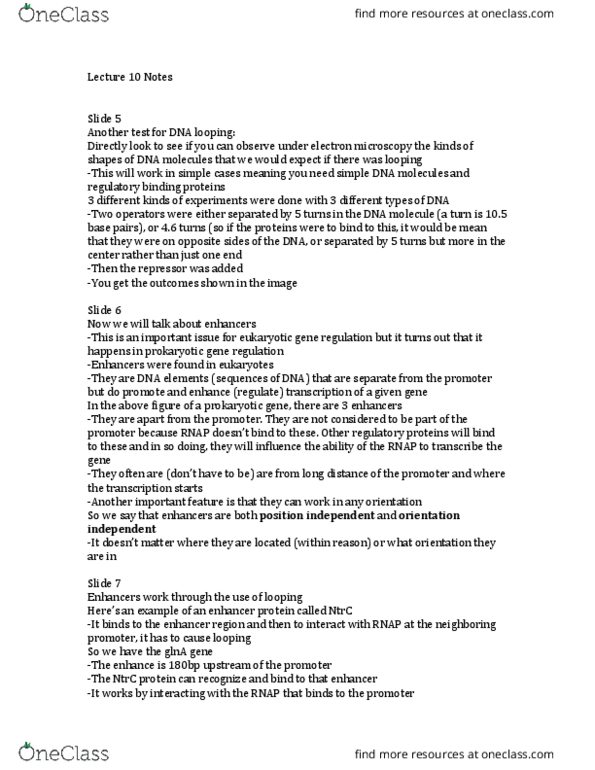 MCDB 427 Lecture Notes - Lecture 10: Nucleolus, Aspergillus Nuclease S1, Transfer Rna thumbnail