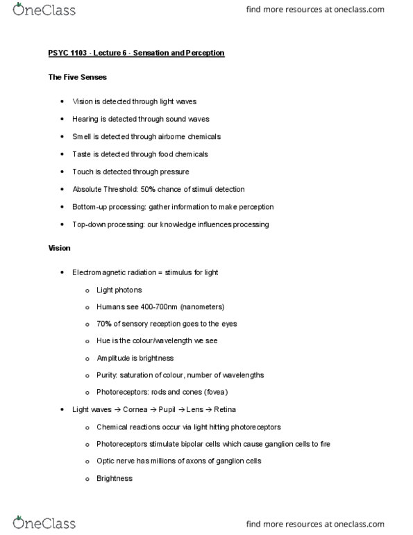 PSYC 1103 Lecture Notes - Lecture 6: Occipital Lobe, Visual Agnosia, Electromagnetic Radiation thumbnail