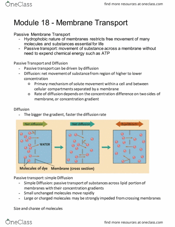 BI110 Lecture Notes - Lecture 9: Aquaporin, Membrane Transport, Membrane Potential thumbnail