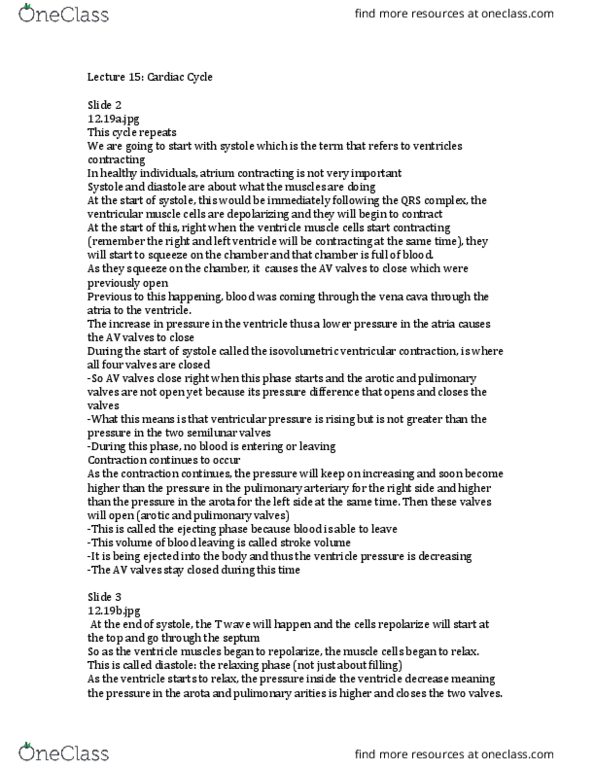 PHYSIOL 201 Lecture Notes - Lecture 15: Sinoatrial Node, Systolic Geometry, Troponin thumbnail