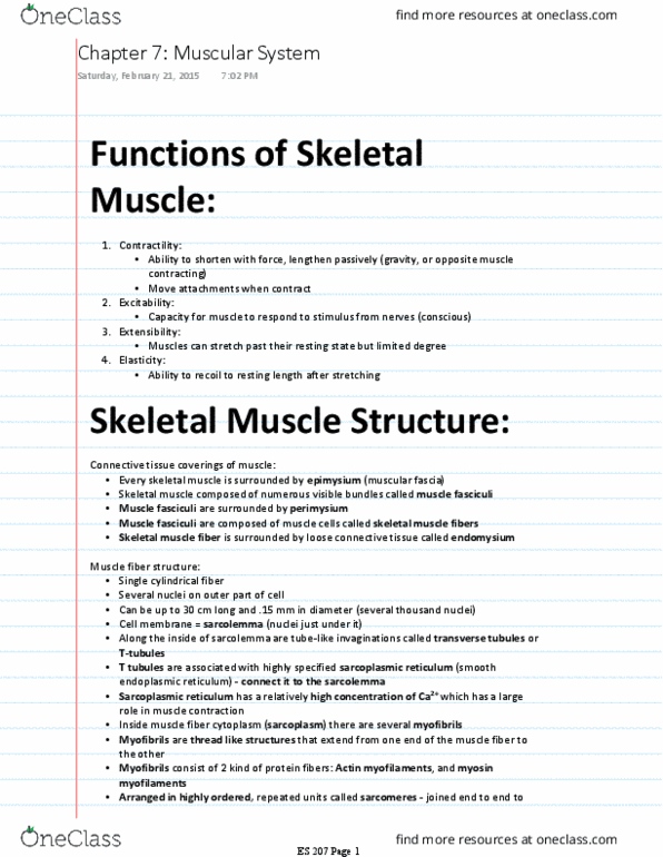 ES 207 Chapter Notes - Chapter 7: Epimysium, Neuromuscular Junction, Membrane Potential thumbnail