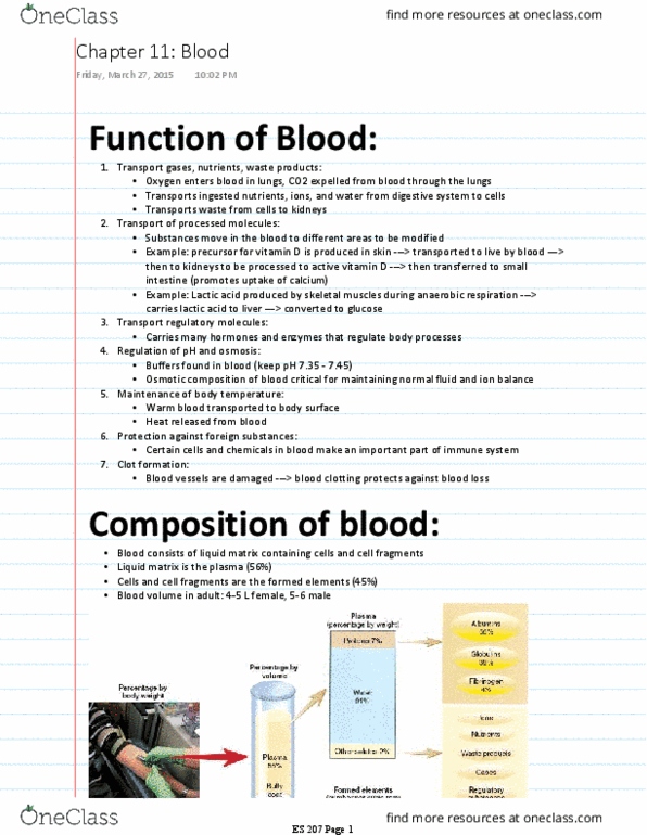 ES 207 Chapter Notes - Chapter 11: Heparin, Haematopoiesis, Vitamin K thumbnail