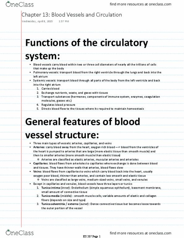 ES 207 Chapter Notes - Chapter 13: Tunica Media, Elastic Fiber, Simple Squamous Epithelium thumbnail