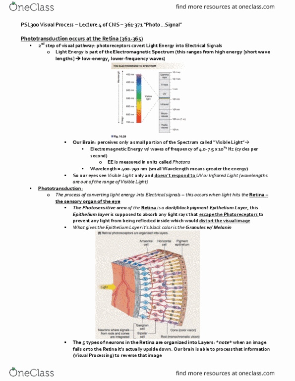 document preview image