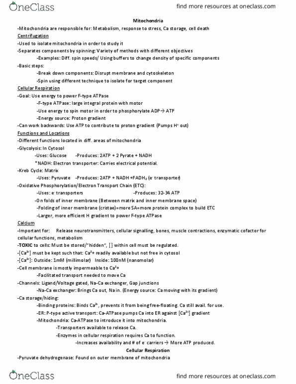 BIO 1140 Chapter Notes - Chapter 6: Cytoskeleton, Ubiquitin, Phospholipid Scramblase thumbnail