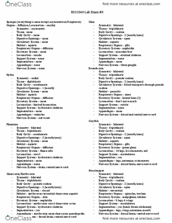 Biol Study Guide Spring Midterm Tube Feet Water Vascular System Diploblasty