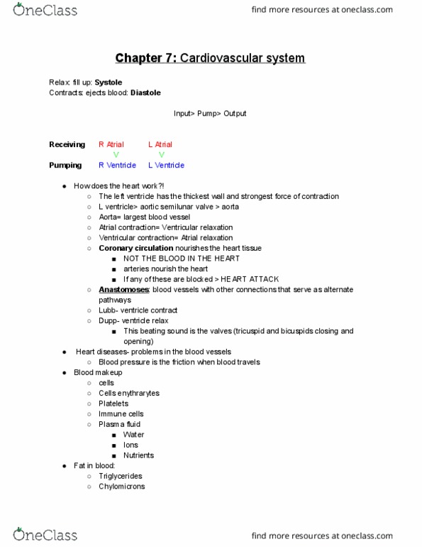 PHYSIOL 596 Chapter Notes - Chapter 7: Low-Density Lipoprotein, Angioplasty, Macrophage thumbnail