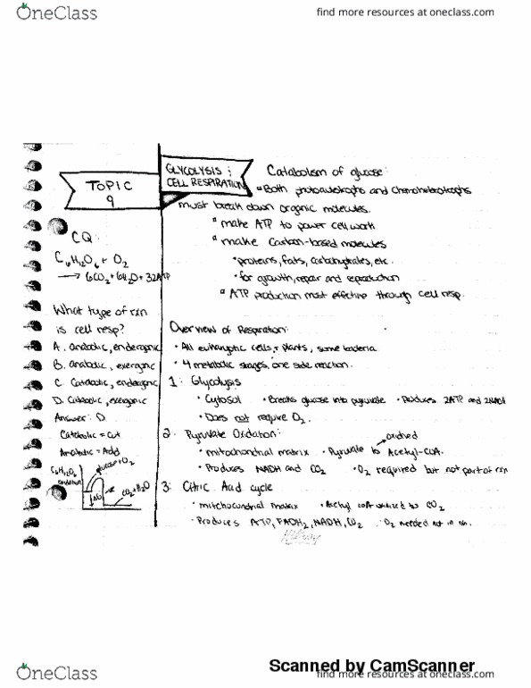 BIOL-107 Lecture 30: Glycolysis and Cellular Respiration Review. thumbnail