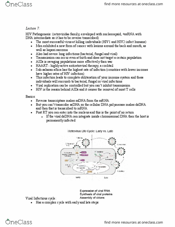 Microbiology and Immunology 2500A/B Lecture Notes - Lecture 7: Aids, Viral Envelope, Hexagonal Lattice thumbnail