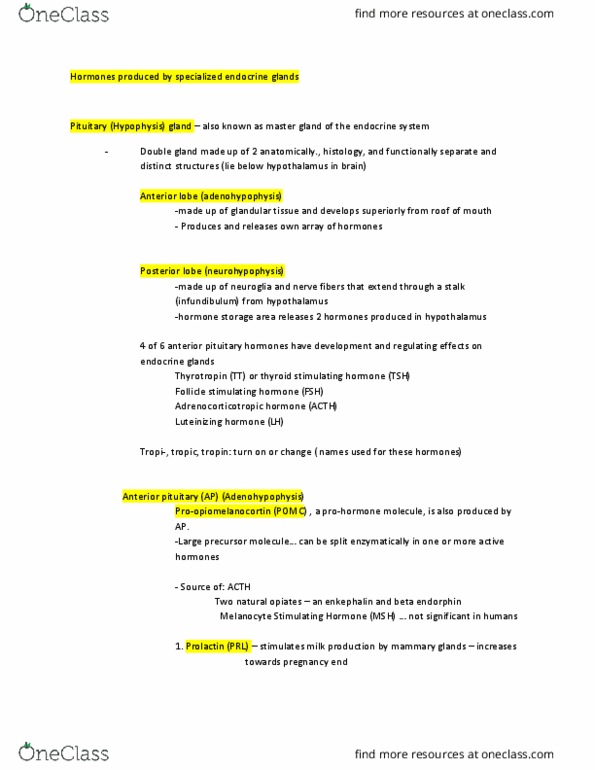 BIOL 207 Chapter Notes - Chapter 16: Anterior Pituitary, Luteinizing Hormone, Cerebellum thumbnail