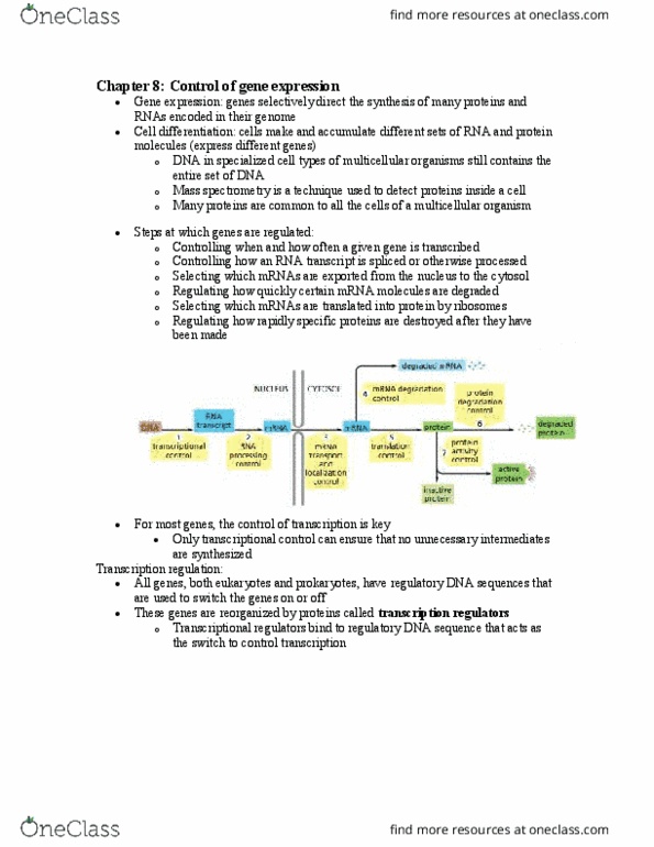 Biochemistry 2280A Chapter Notes - Chapter 8: Lac Operon, Lac Repressor, Regulatory Sequence thumbnail