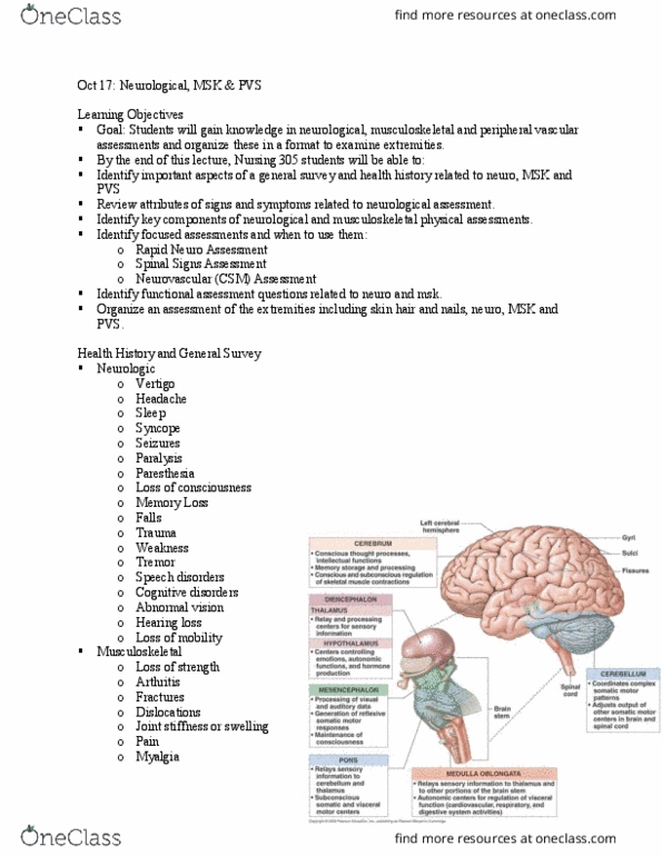 NURS305 Lecture Notes - Lecture 5: Spinal Nerve, Pupillary Response, Muscle Atrophy thumbnail
