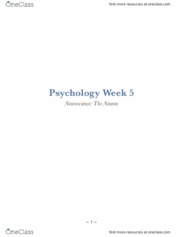 PSYC 100 Lecture Notes - Lecture 5: Autonomic Nervous System, Stretch Reflex, Axon Terminal thumbnail