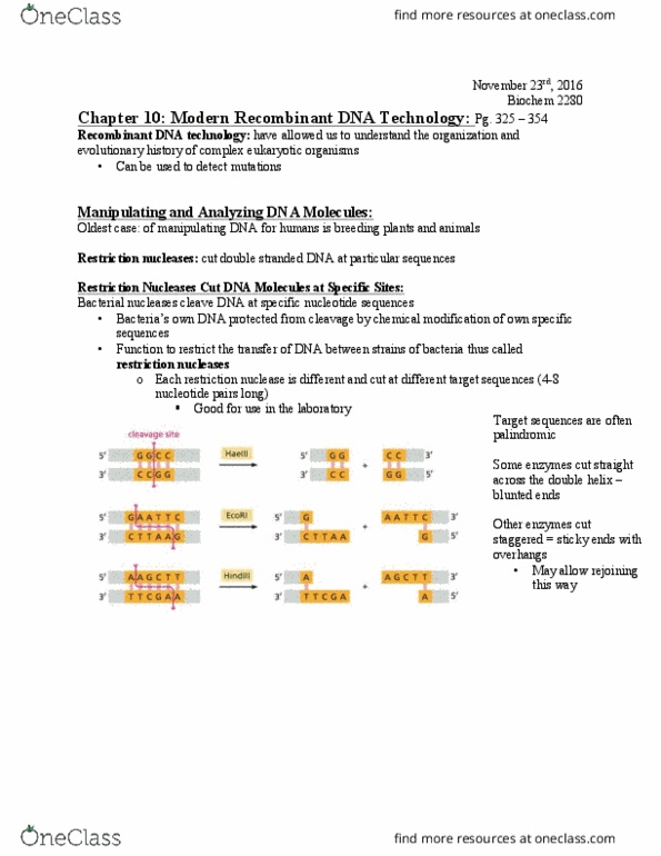 Biochemistry 2280A Chapter Notes - Chapter 10: Restriction Enzyme, Polyacrylamide Gel Electrophoresis, Recombinant Dna thumbnail