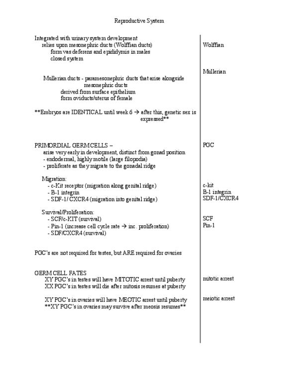 BIOL130 Lecture Notes - Ovarian Follicle, Hermaphrodite, Intersex thumbnail