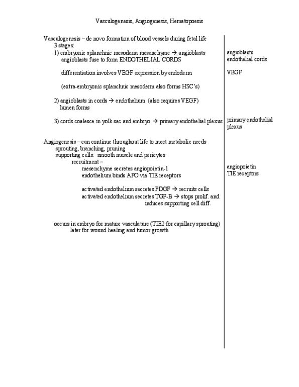 BIOL130 Lecture Notes - Osteoclast, Heterochromatin, Cd90 thumbnail