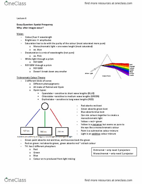PSYC 2390 Lecture Notes - Lecture 6: Chromatic Aberration, Roygbiv, Color Vision thumbnail