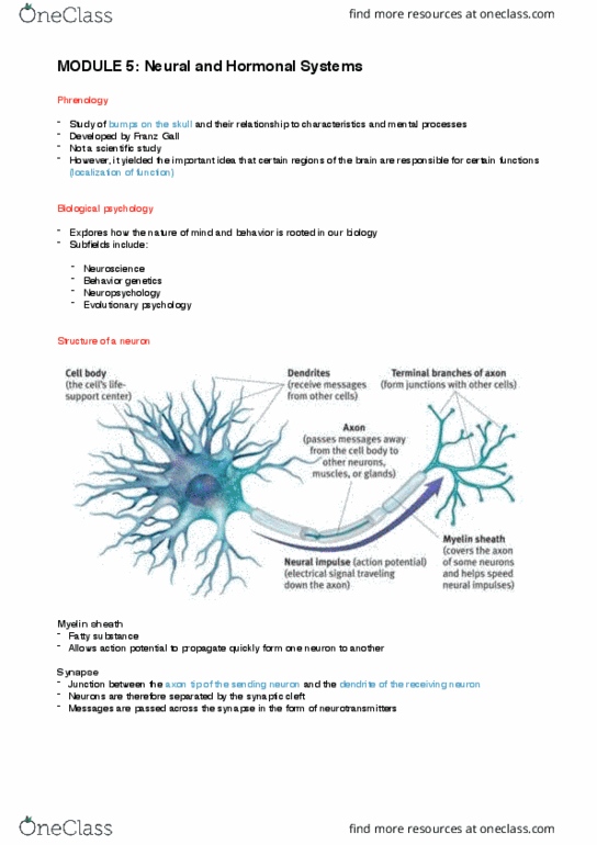 PSYCH 10 Lecture Notes - Lecture 2: Sympathetic Nervous System, Sodium Channel, Autonomic Nervous System thumbnail