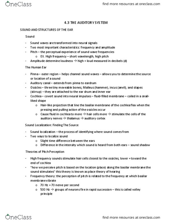 PSY100H1 Chapter Notes - Chapter 4.3-4.4: Sound, Cerebellum, Mcgurk Effect thumbnail