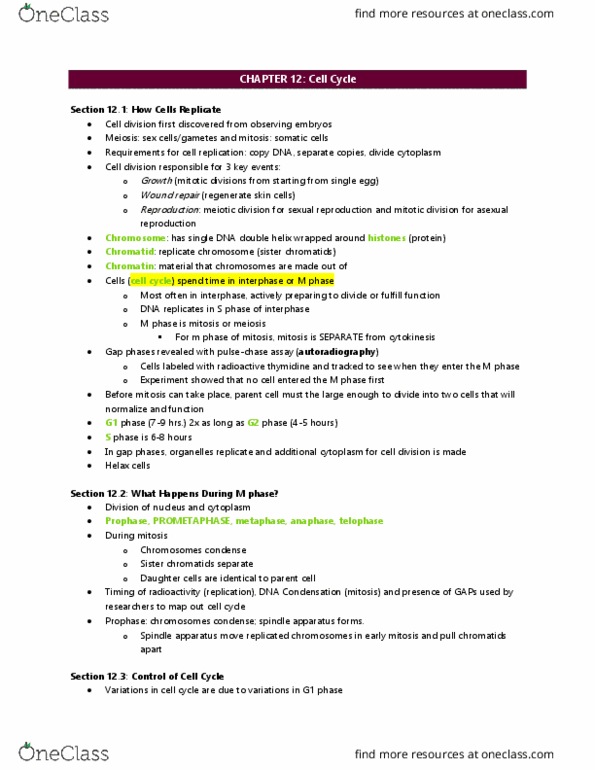 BIOL 141 Lecture Notes - Lecture 8: Sister Chromatids, Social Control, Autoradiograph thumbnail